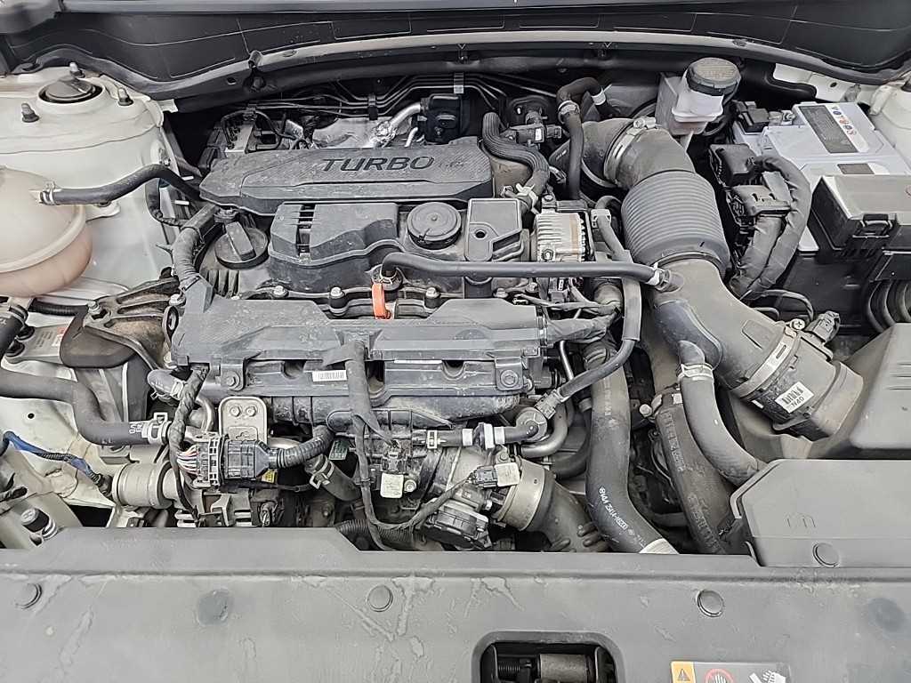 KIA Sportage - Vista 5