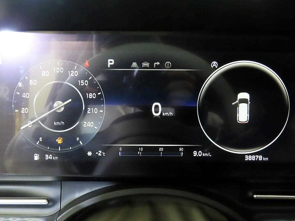 KIA Carnival - Vista 9