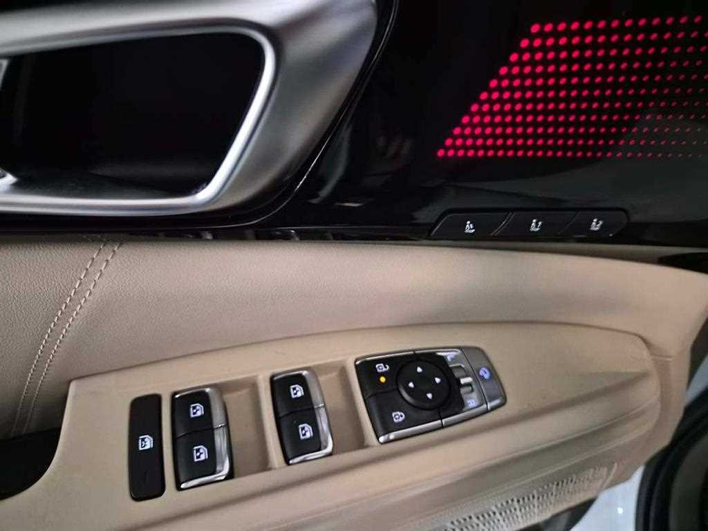 KIA Carnival - Vista 12