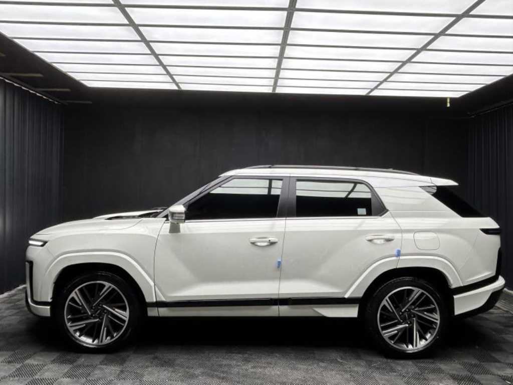 Ssangyong Action - Vista 4