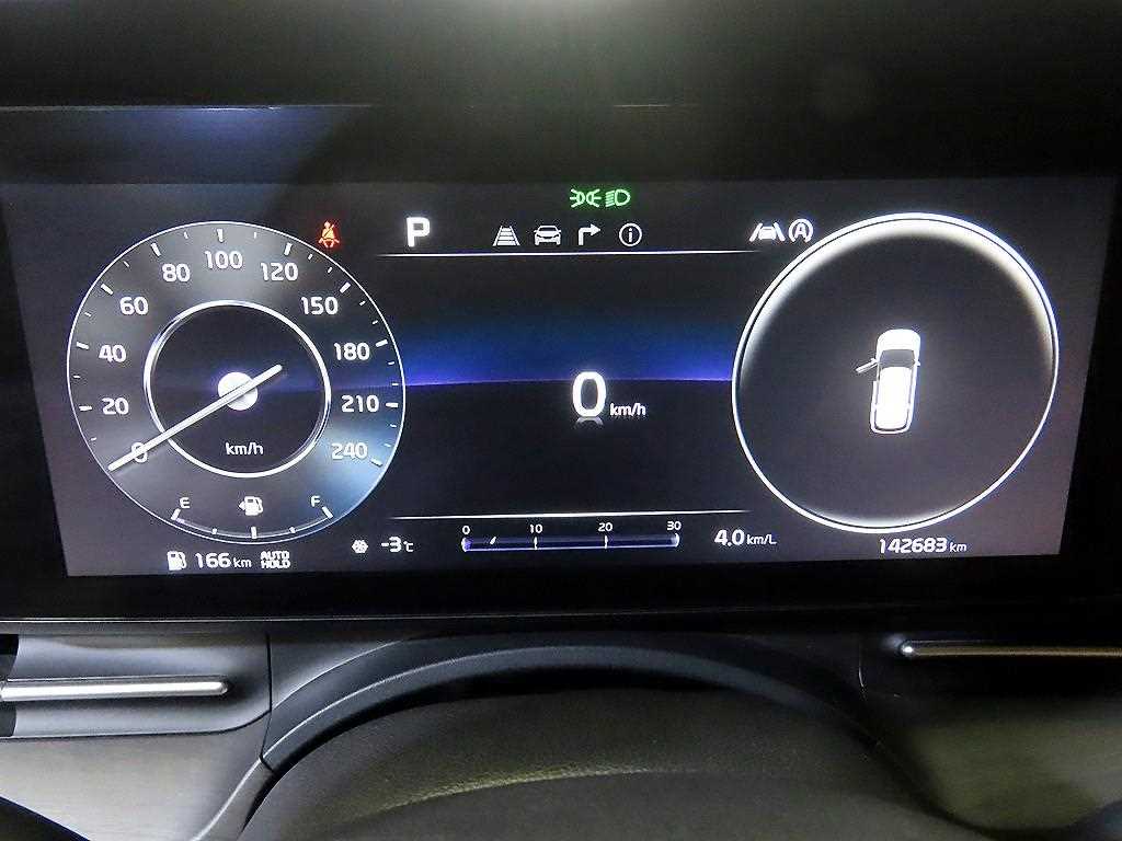 KIA Carnival - Vista 9