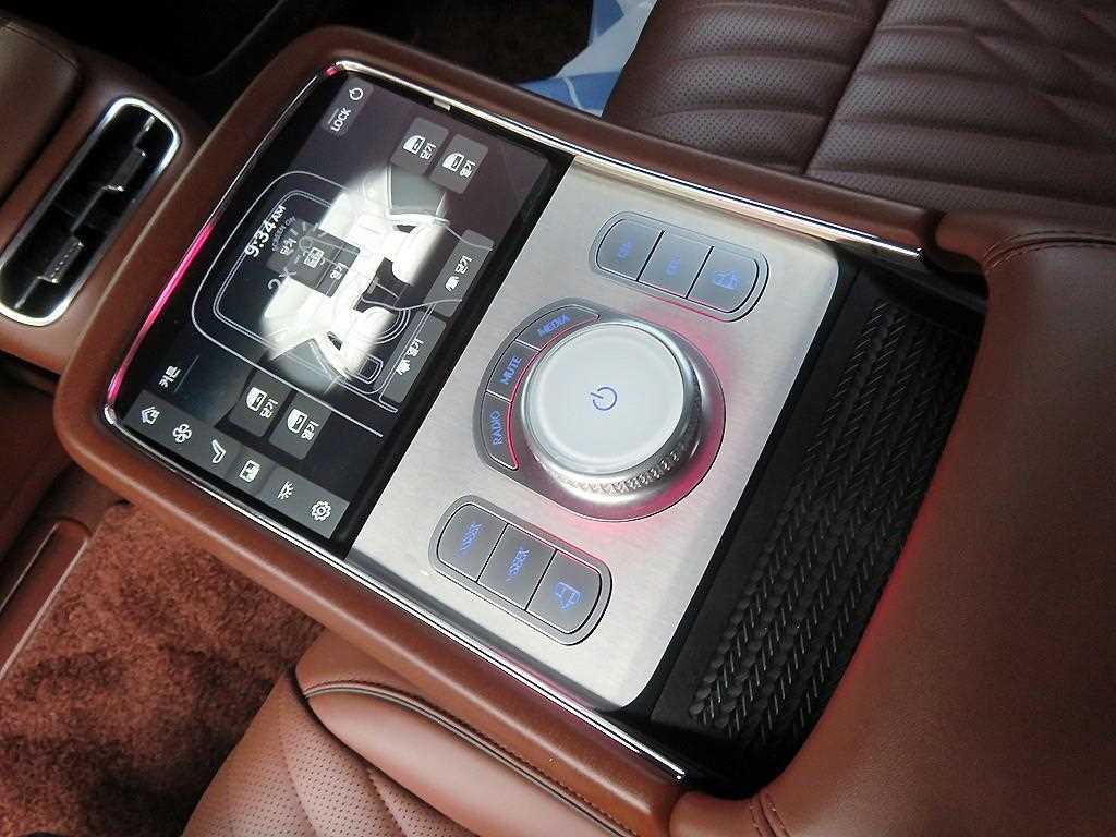 Genesis G90 - Vista 9