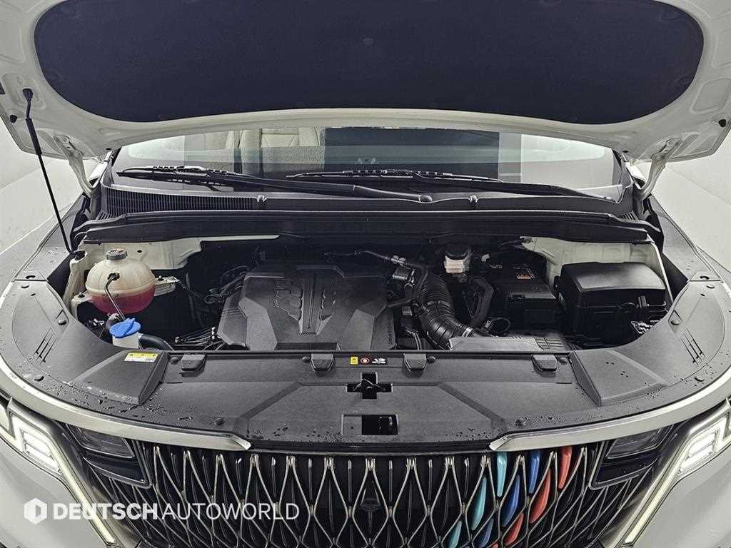 KIA Carnival - Vista 6