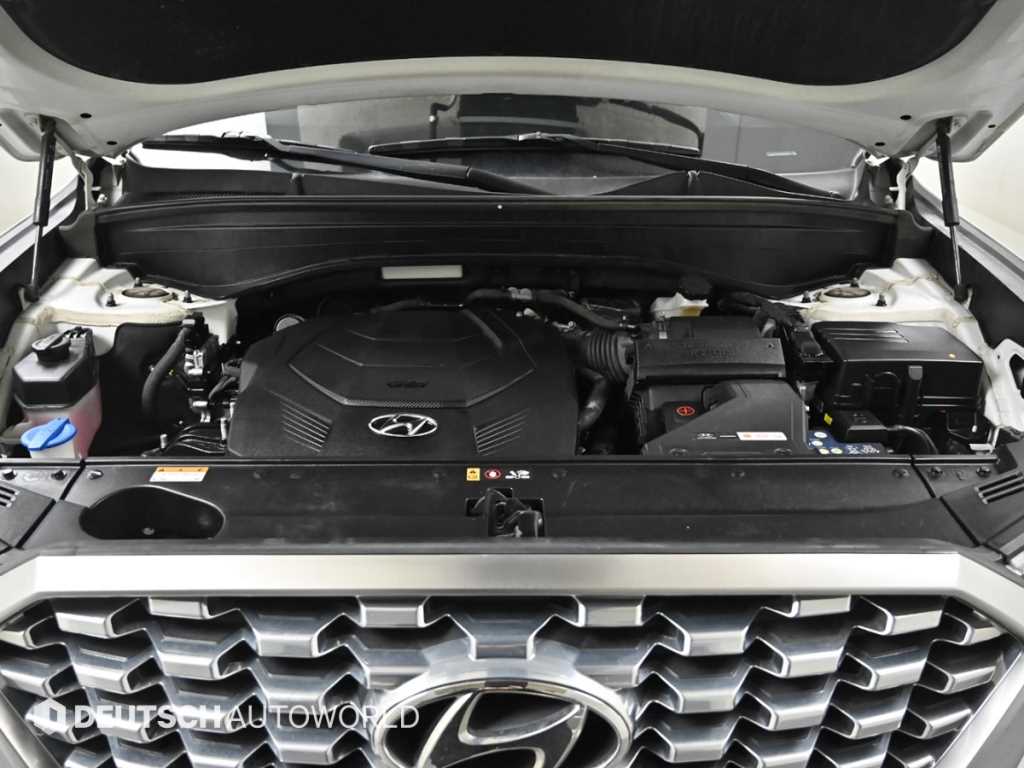HYUNDAI Palisade - Vista 6