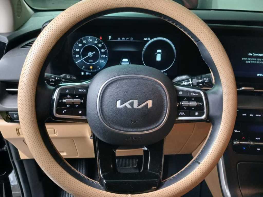 KIA Carnival - Vista 11