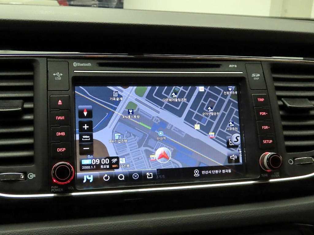 KIA Carnival - Vista 8