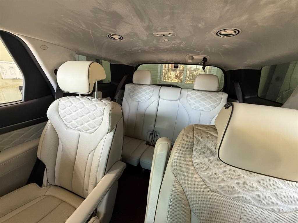 HYUNDAI Palisade - Vista 5