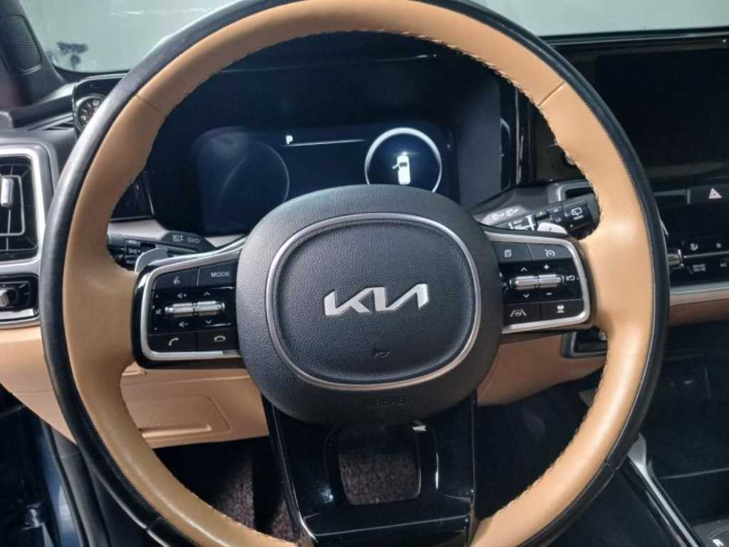 KIA Sorento - Vista 12