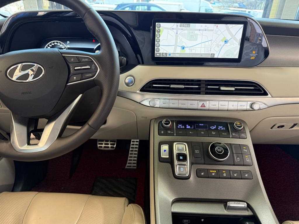 HYUNDAI Palisade - Vista 7