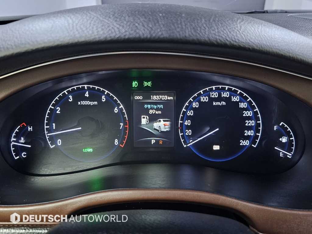 HYUNDAI Genesis - Vista 8