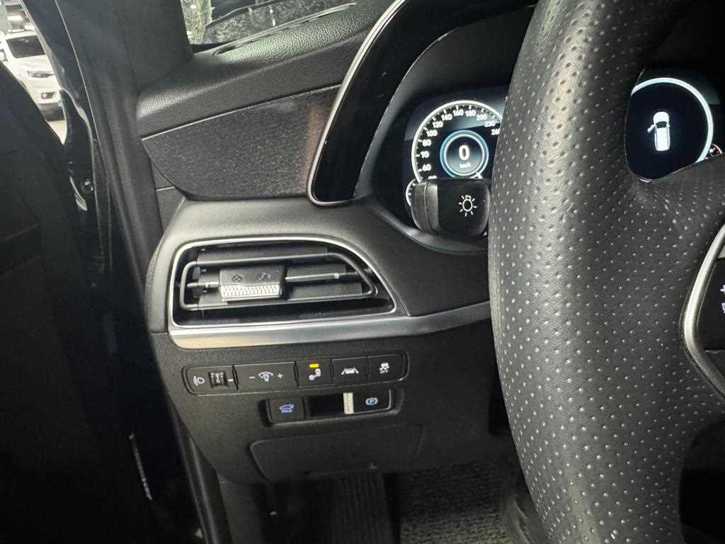 HYUNDAI Palisade - Vista 10