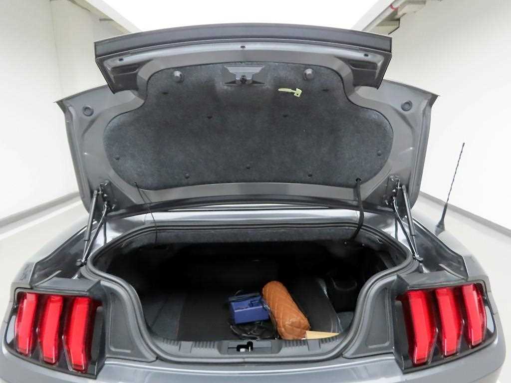 Ford Mustang - Vista 5