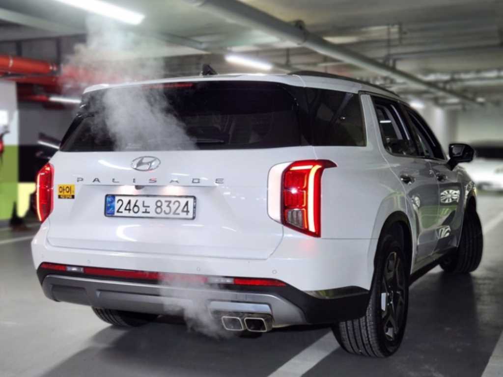 HYUNDAI Palisade - Vista 6