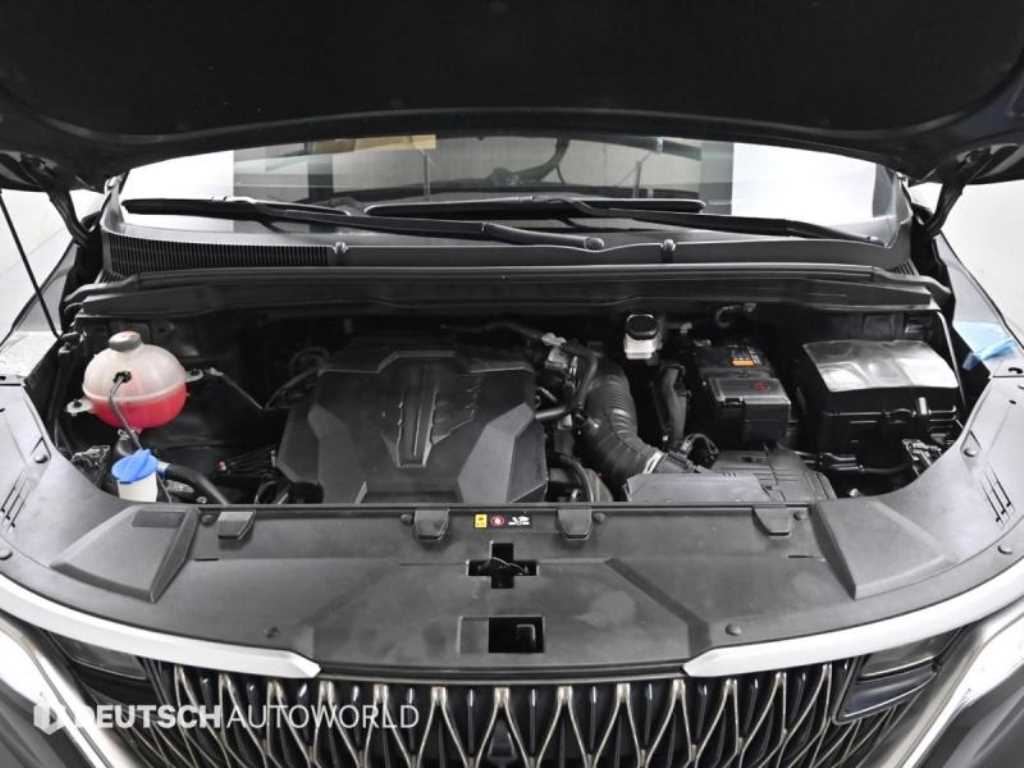 KIA Carnival - Vista 6