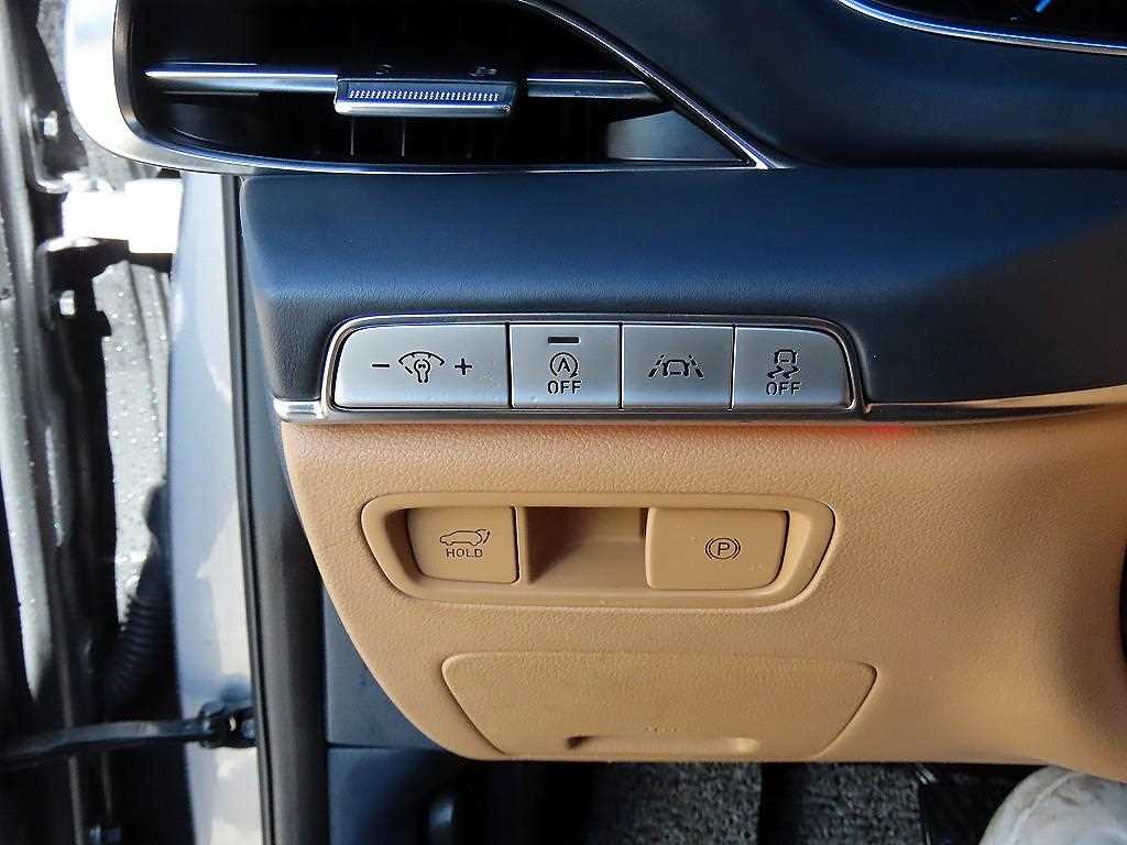 Genesis GV80 - Vista 11