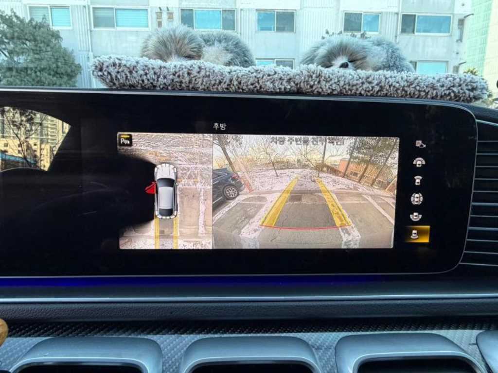 Mercedes Benz GLE Class - Vista 12