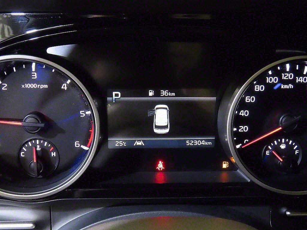 KIA Carnival - Vista 10