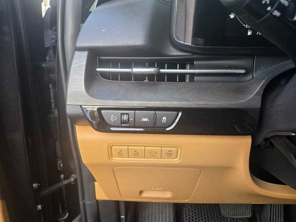 KIA Carnival - Vista 4