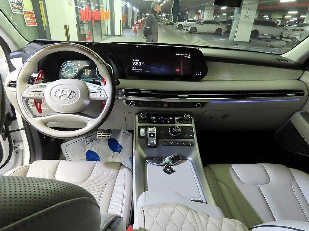 HYUNDAI Palisade - Vista 10