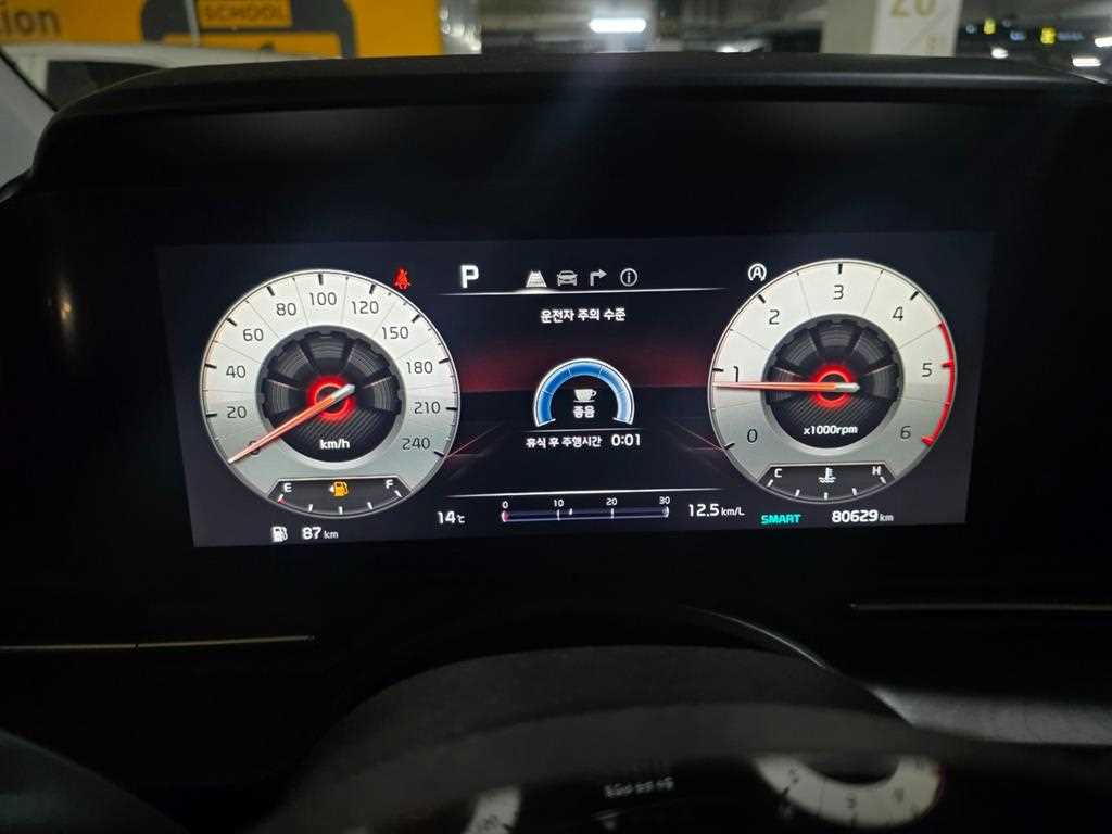 KIA Carnival - Vista 11