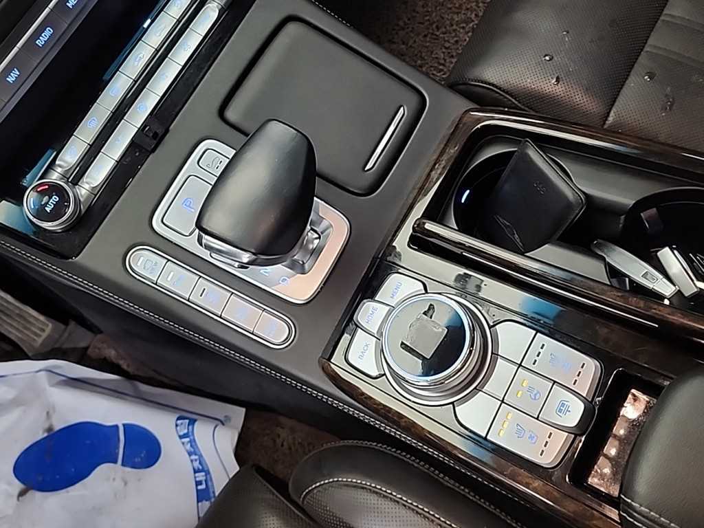 Genesis G90 - Vista 9