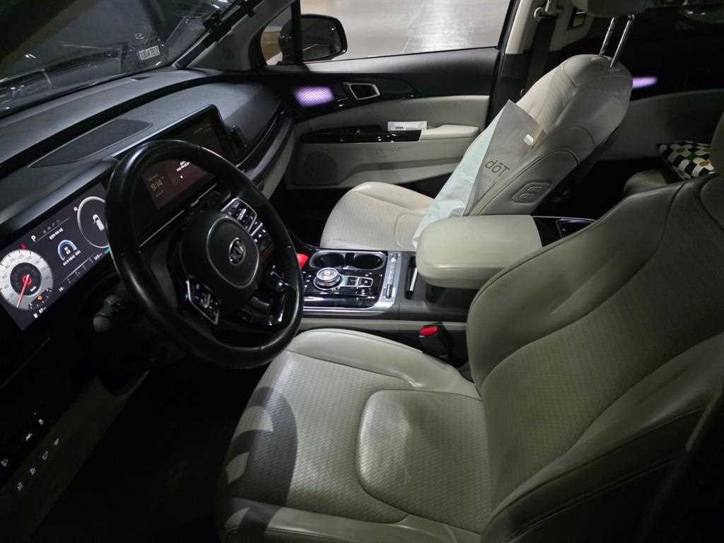 KIA Carnival - Vista 7