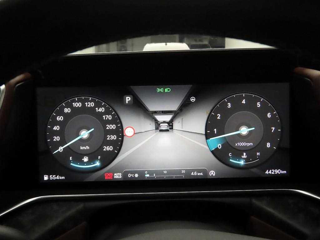 Genesis G90 - Vista 5