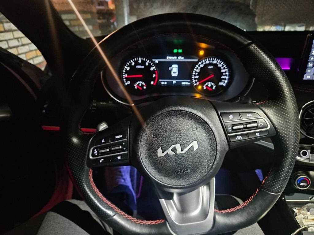 KIA Stinger - Vista 12