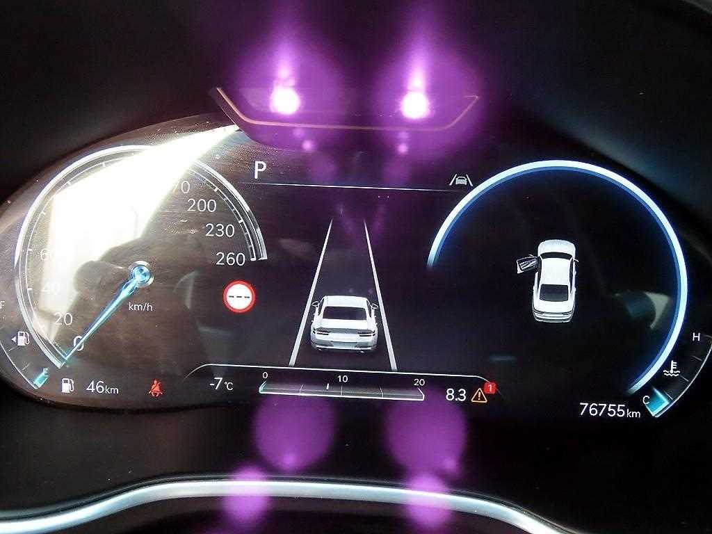 Genesis G80 - Vista 9