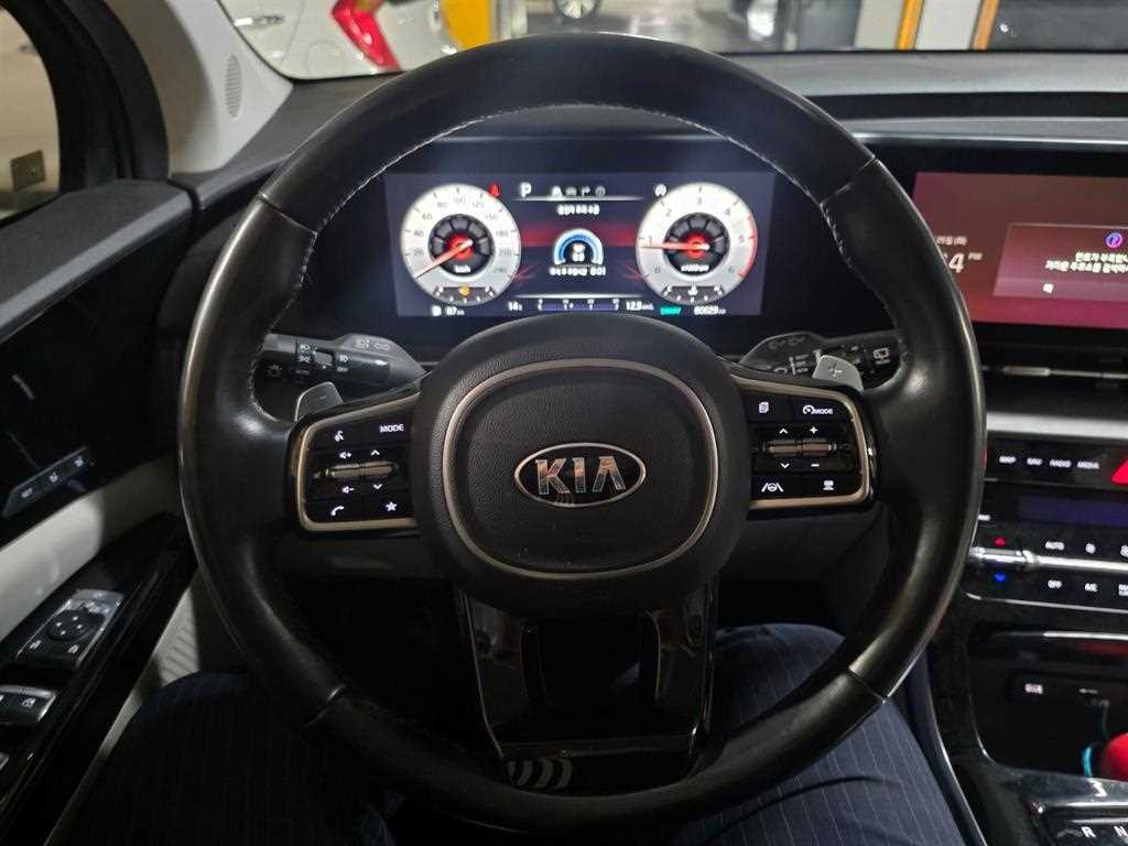 KIA Carnival - Vista 12