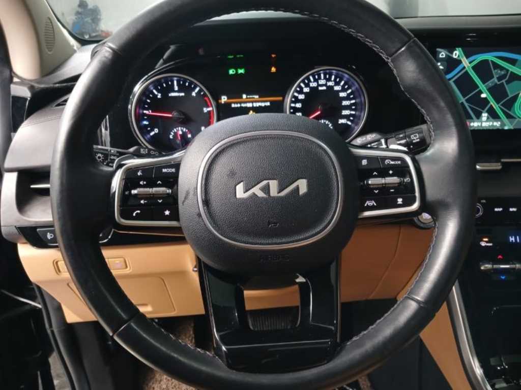 KIA Carnival - Vista 10