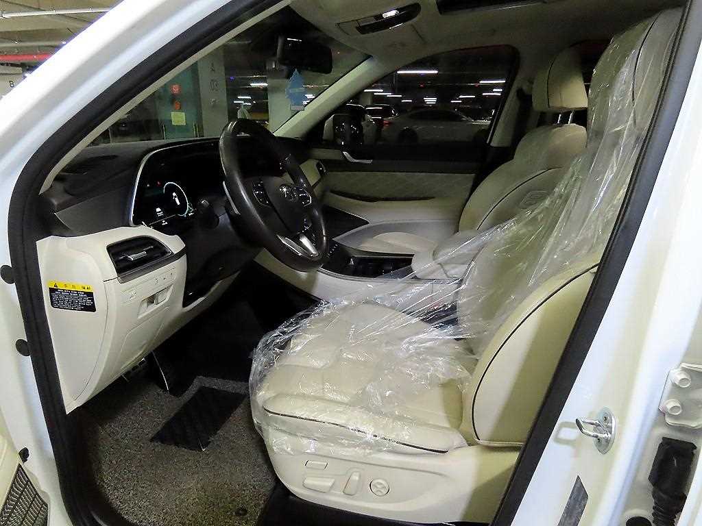 HYUNDAI Palisade - Vista 6