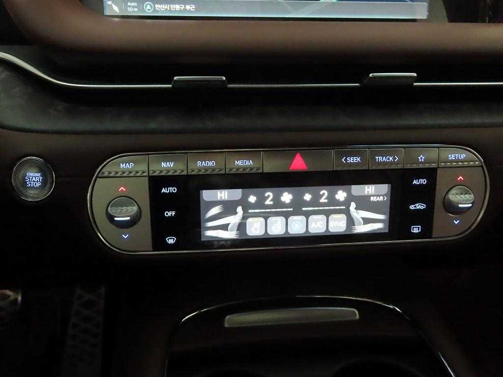 Genesis G90 - Vista 9