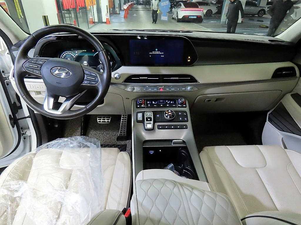 HYUNDAI Palisade - Vista 10