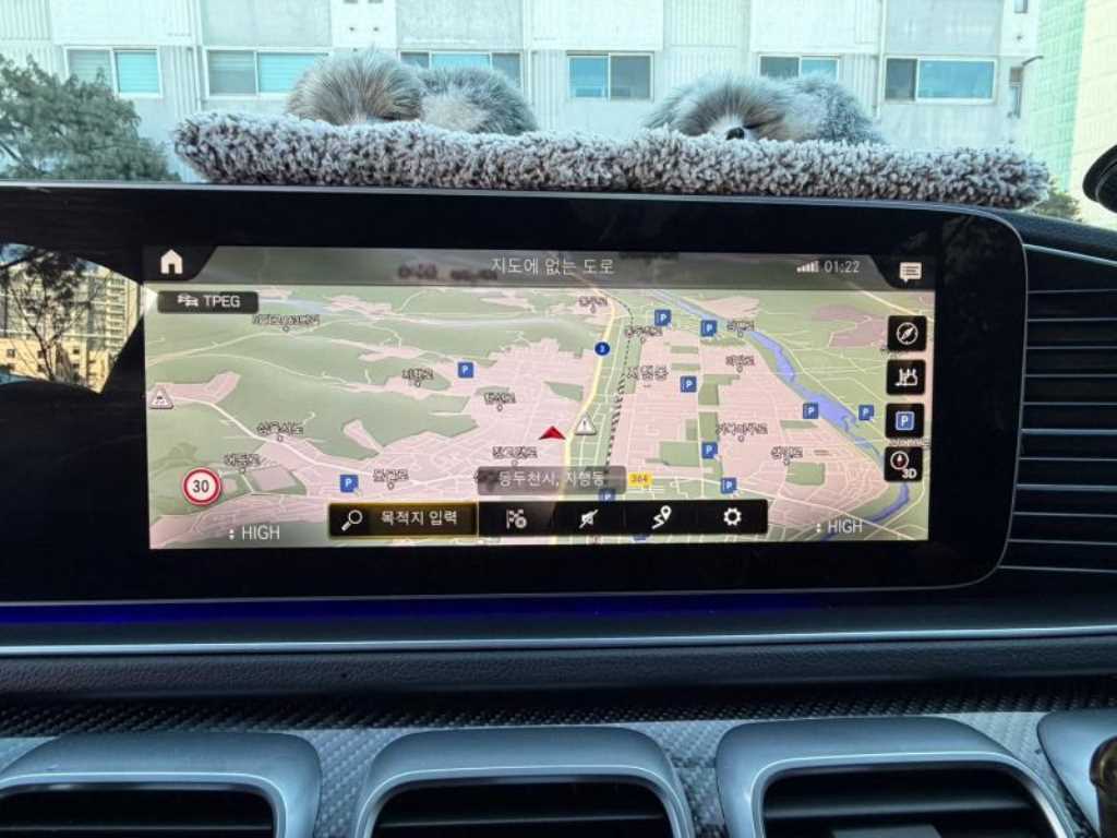 Mercedes Benz GLE Class - Vista 11