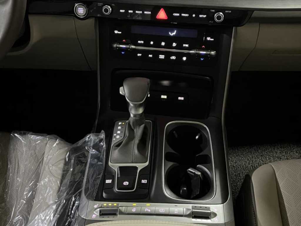 KIA Carnival - Vista 11