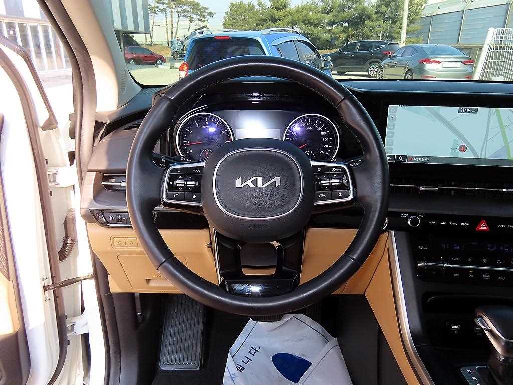 KIA Carnival - Vista 9