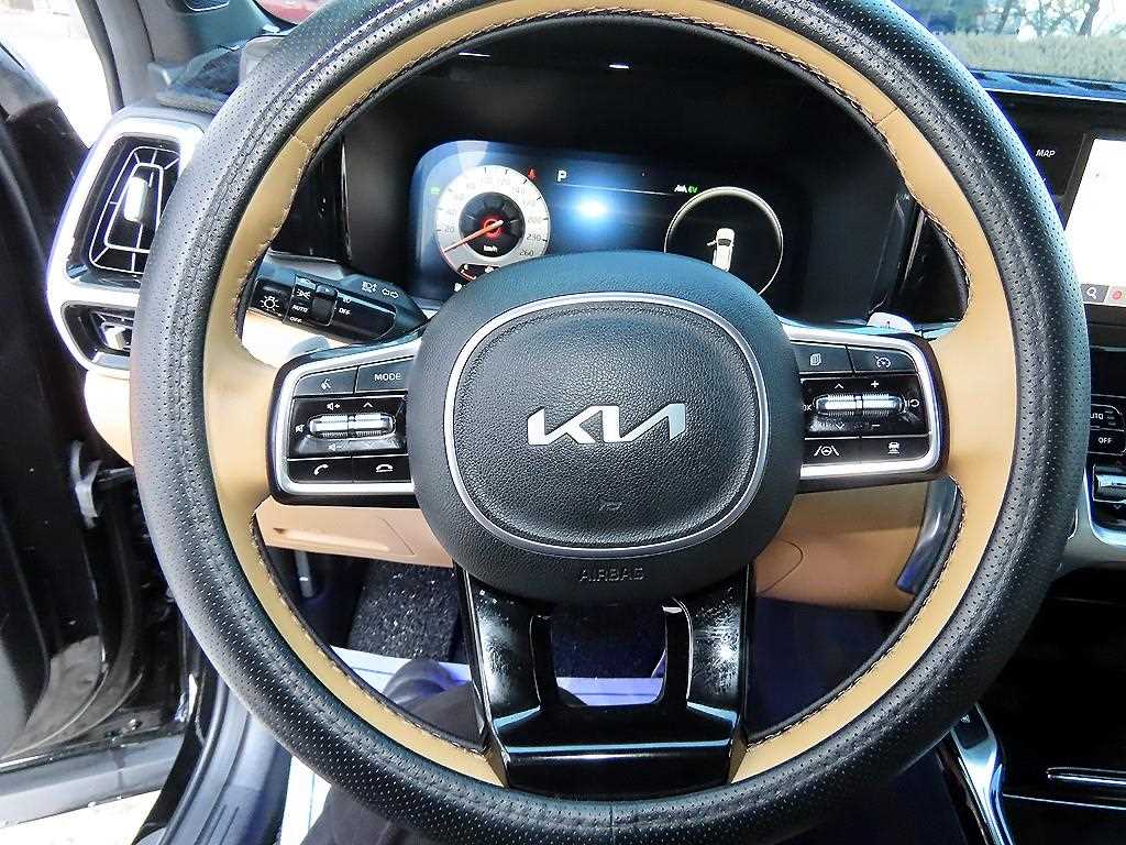 KIA Sorento - Vista 8