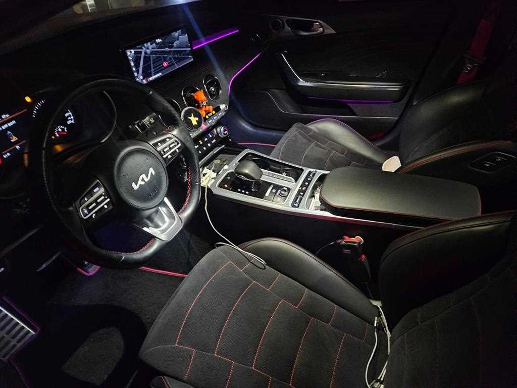 KIA Stinger - Vista 8