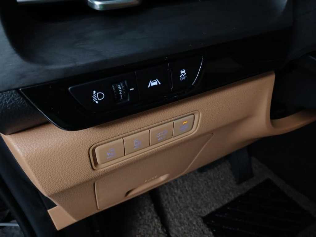 KIA Carnival - Vista 9