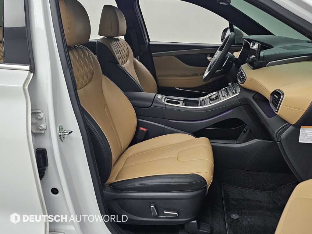 HYUNDAI Santa Fe - Vista 10