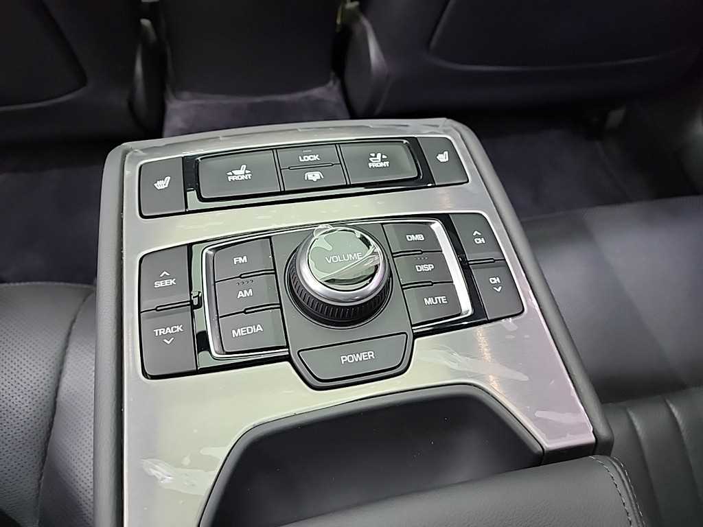 HYUNDAI Genesis - Vista 12