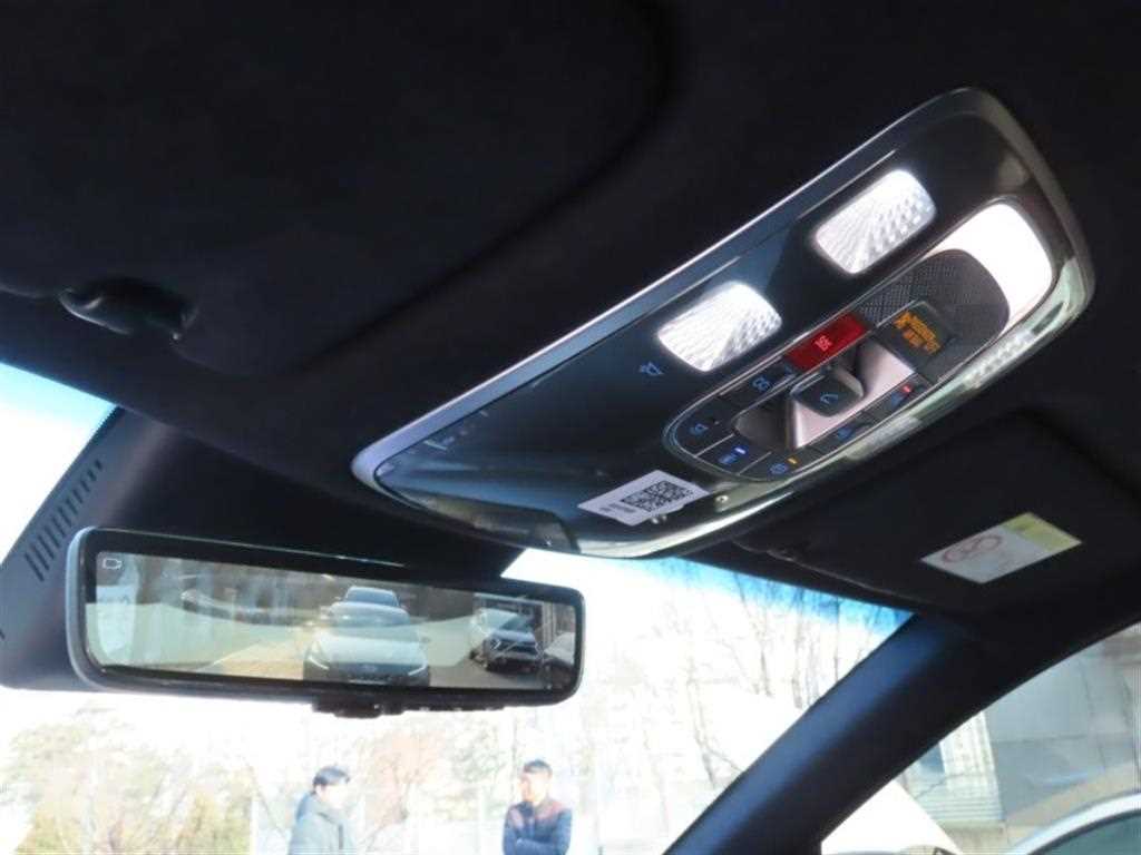 Genesis GV80 - Vista 10