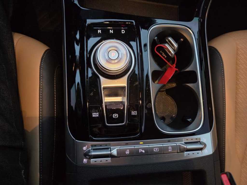 KIA Carnival - Vista 10