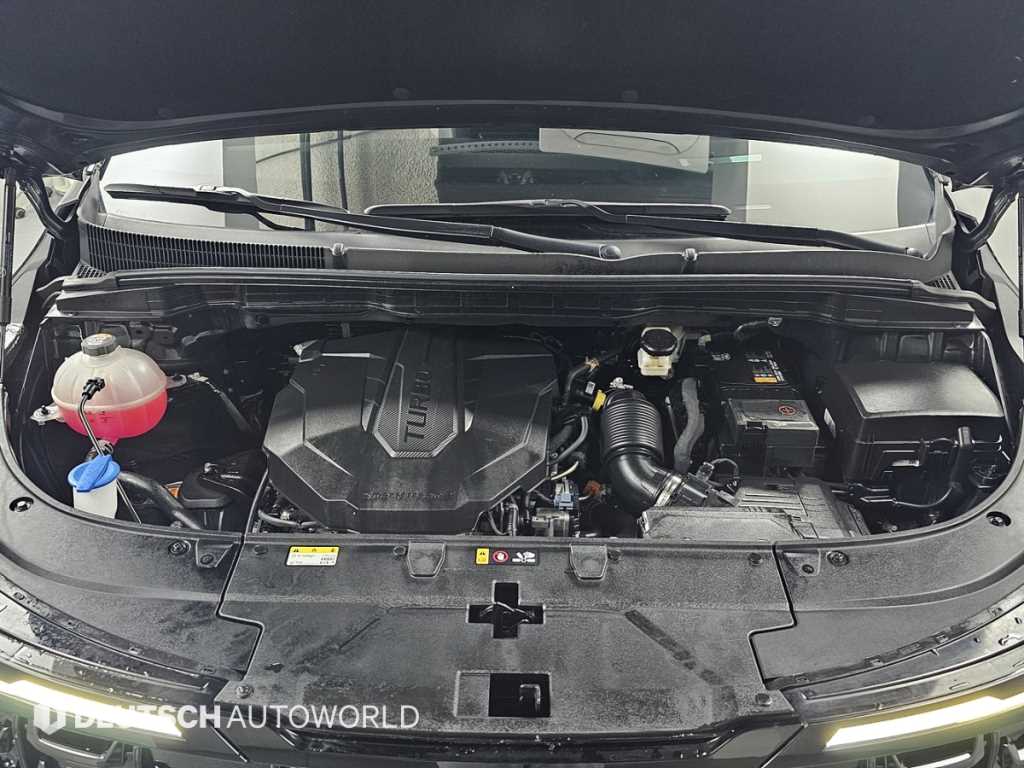 KIA Carnival - Vista 6