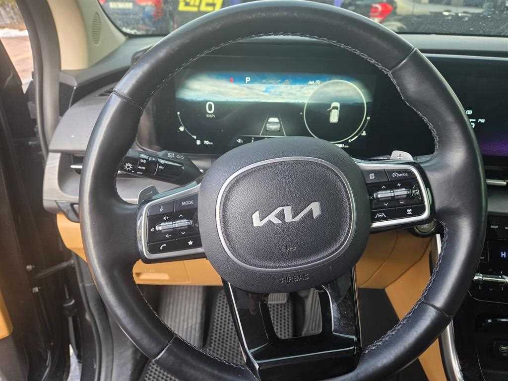 KIA Carnival - Vista 3