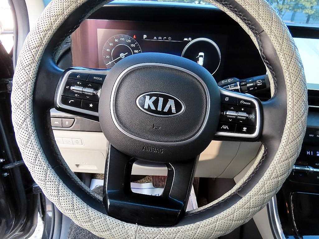KIA Carnival - Vista 9