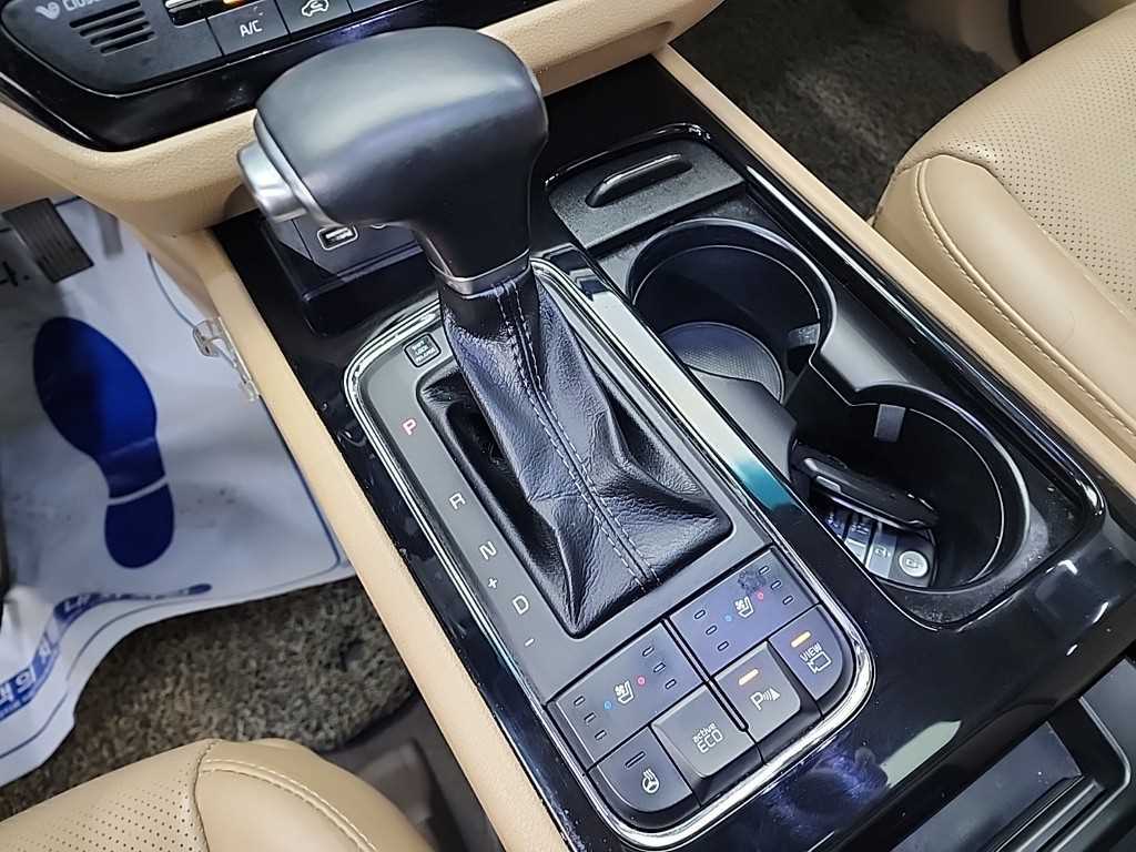 KIA Carnival - Vista 8