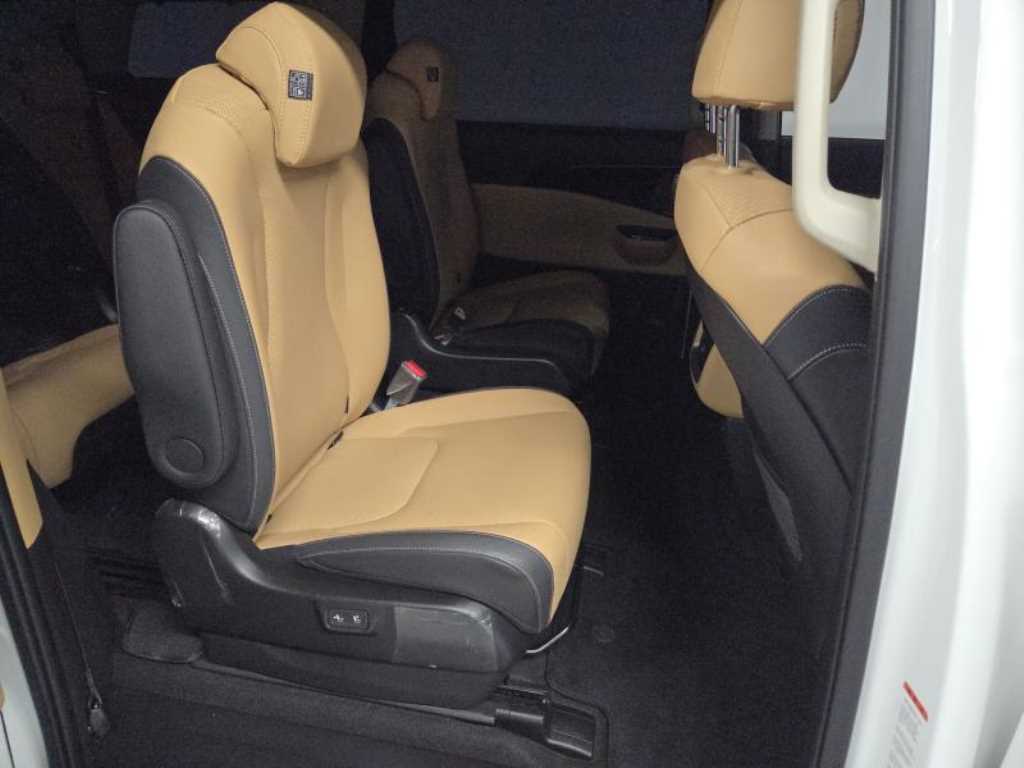 KIA Carnival - Vista 9