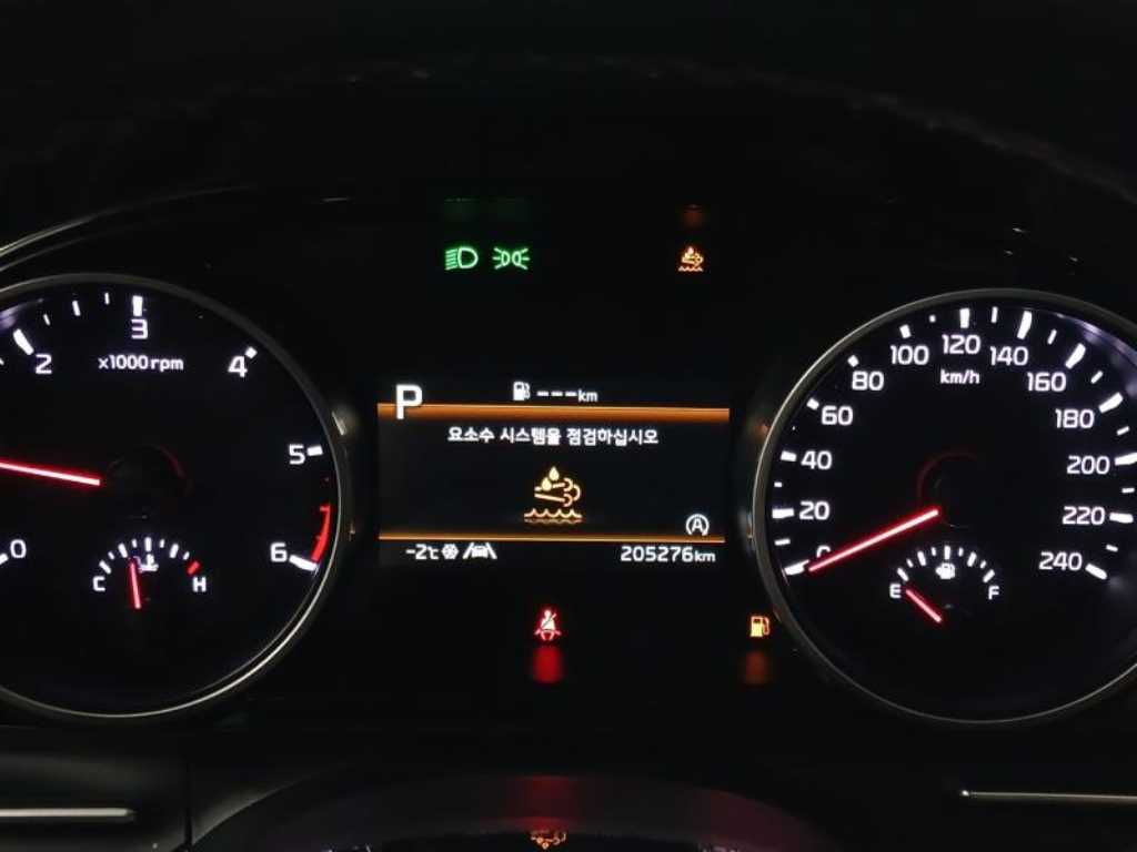 KIA Carnival - Vista 12